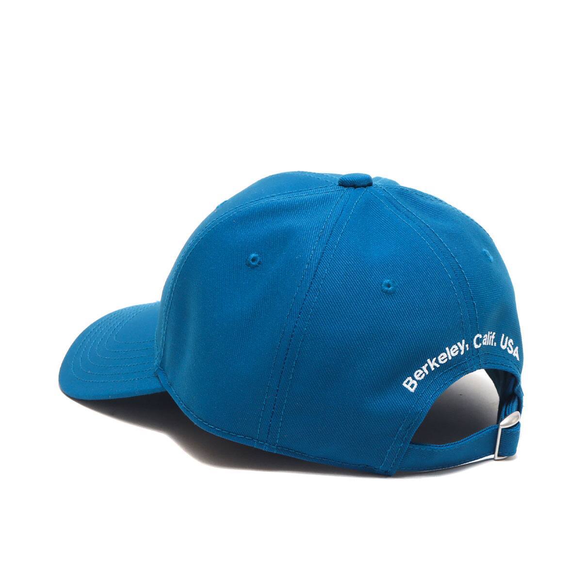 THE NORTH FACE TNF LOGO CAP BANFFBLUE 22SS-I