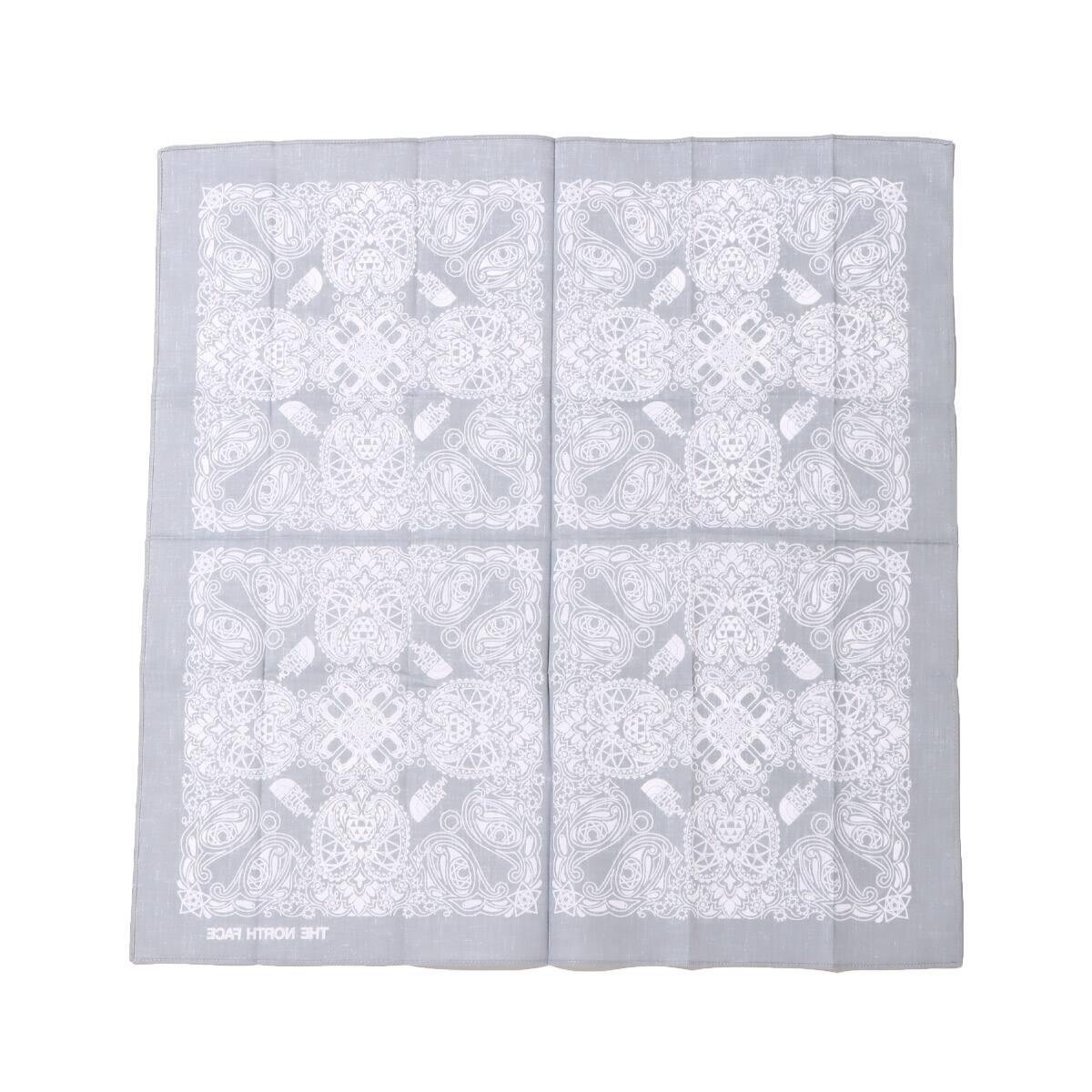 THE NORTH FACE GEODOME PAISLEY BANDANA メルドグレー 23SS-Iの画像