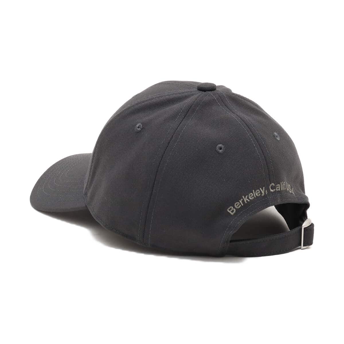 THE NORTH FACE TNF Logo Cap アスファルトグレー 24SS-Iの画像