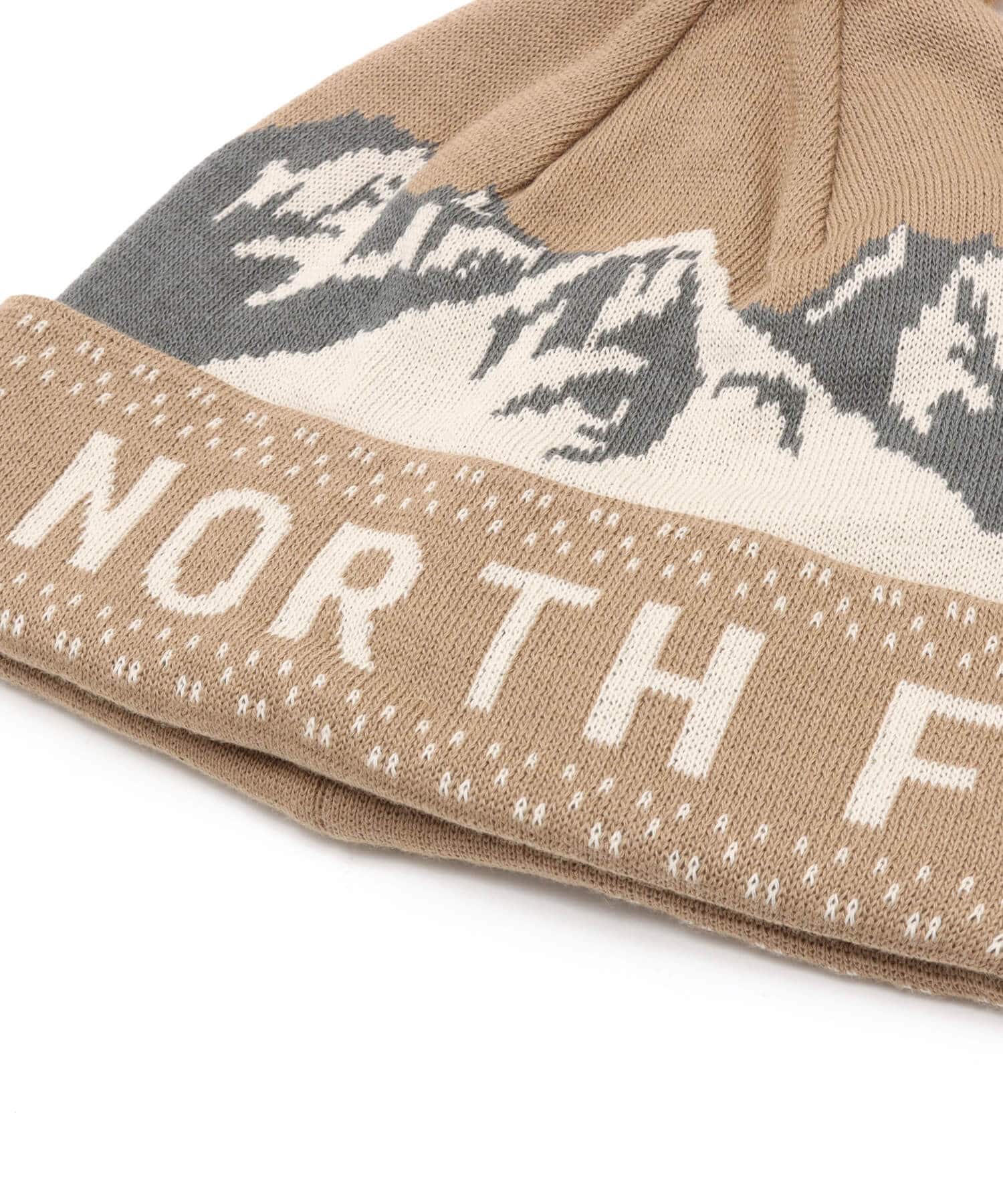 THE NORTH FACE Snow Bum Beanie マッシュルームの画像