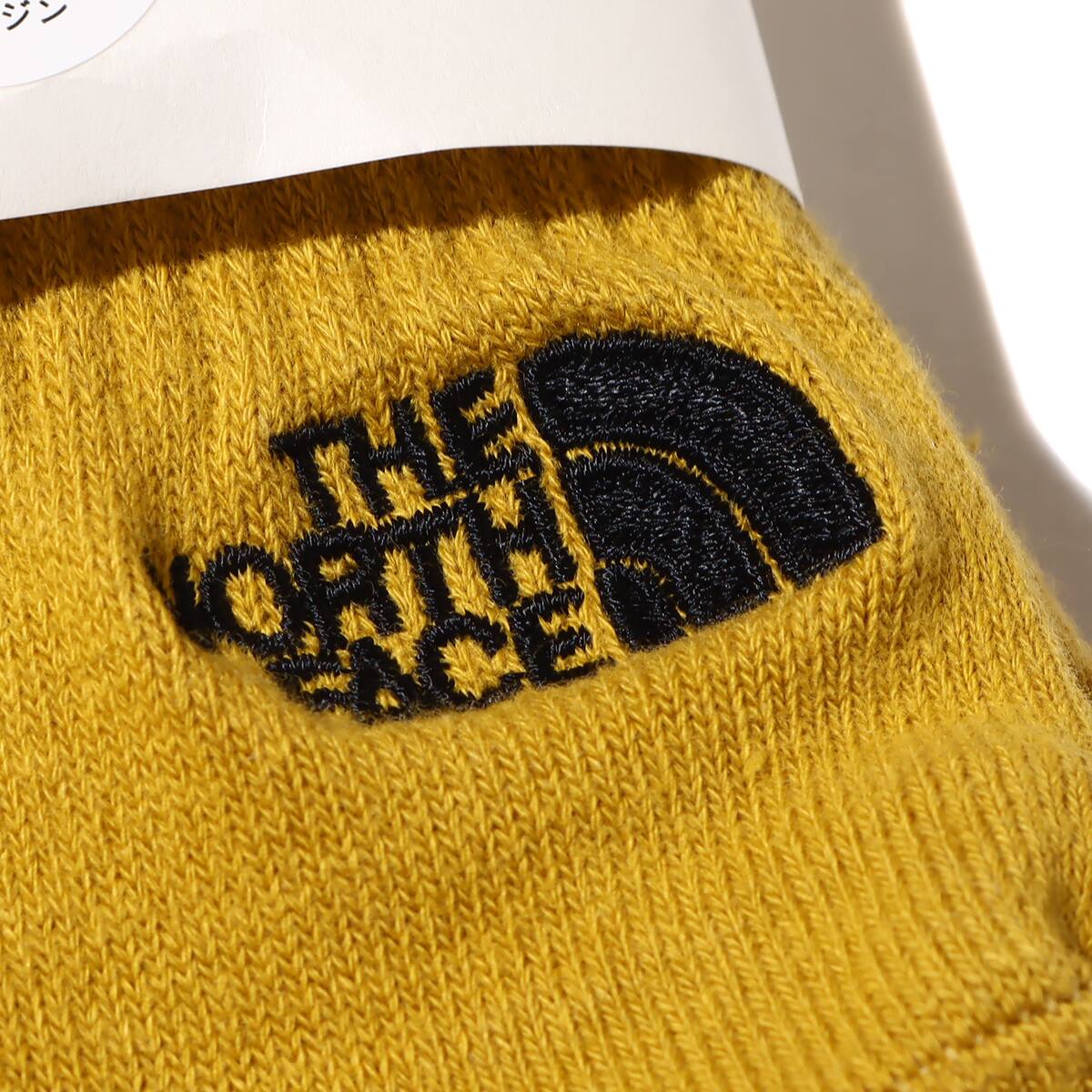 THE NORTH FACE TNF LOGO 2P SHORT ミネラルゴールド×ケルプタン 22FW-Iの画像