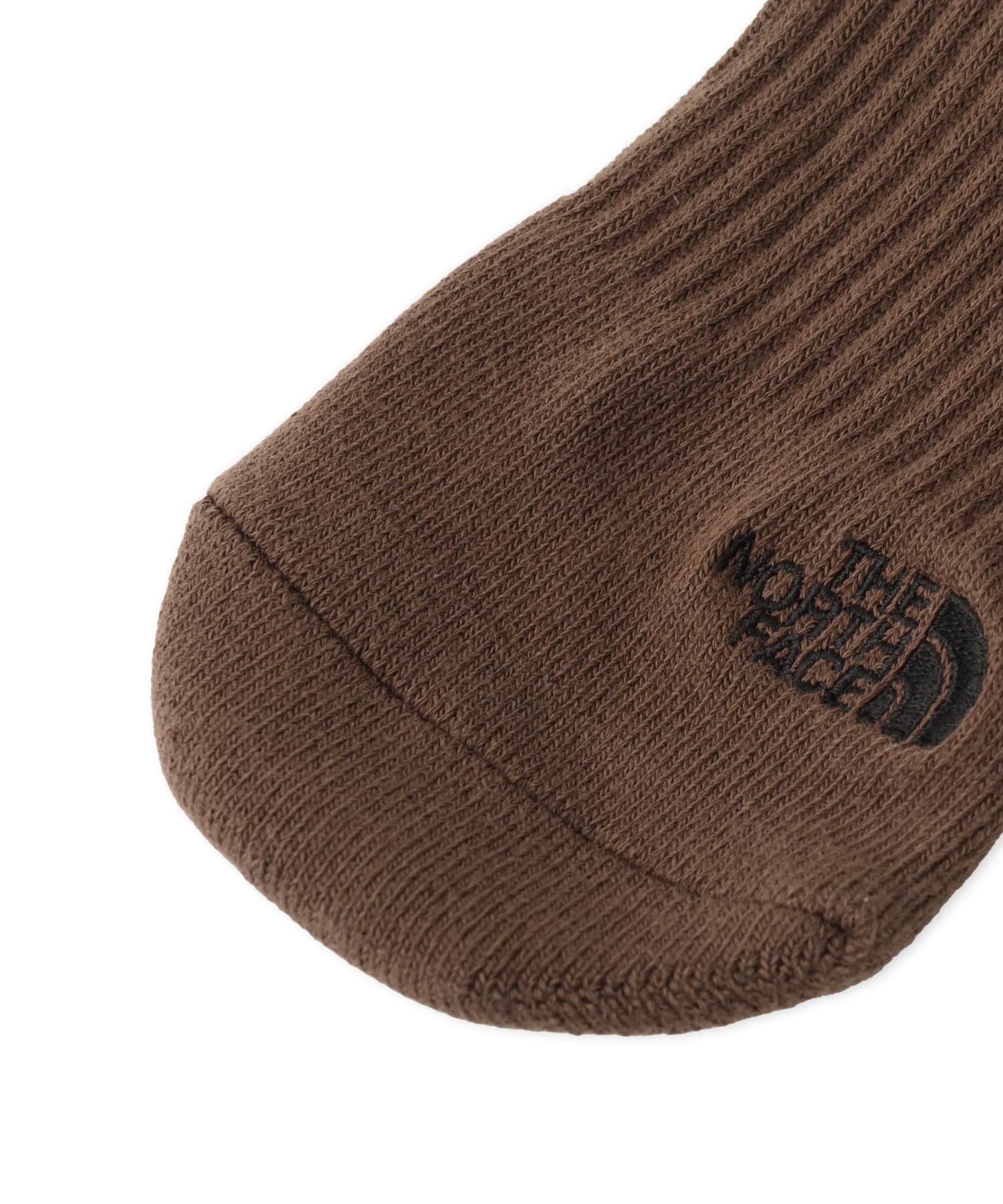 THE NORTH FACE TNF LOGO 2P SHORT テディブラウンの画像