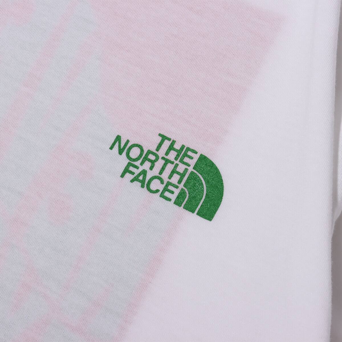 THE NORTH FACE S/S CONTOUR TRIP TEE WHITE 21SS-Iの画像