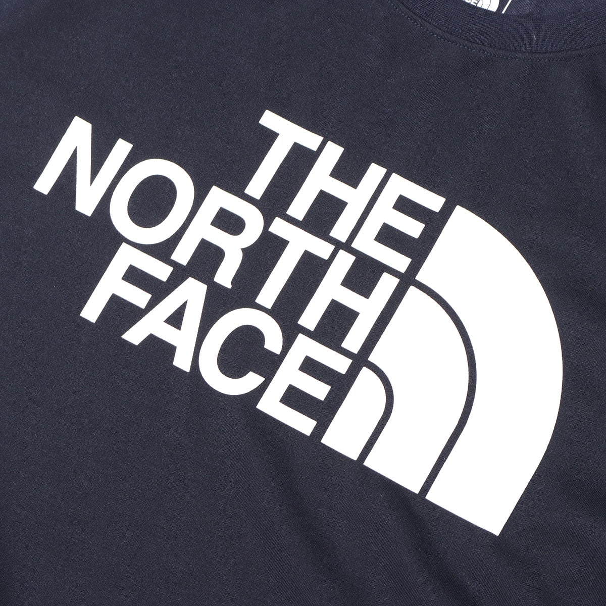 THE NORTH FACE S/S COLOR DOME TEE アビエイターネイビー 22SS-Iの画像