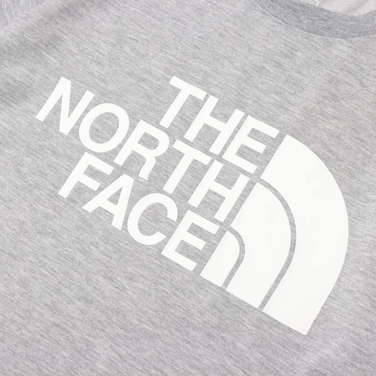 THE NORTH FACE S/S COLOR DOME TEE MIX GRAY 22SS-Iの画像