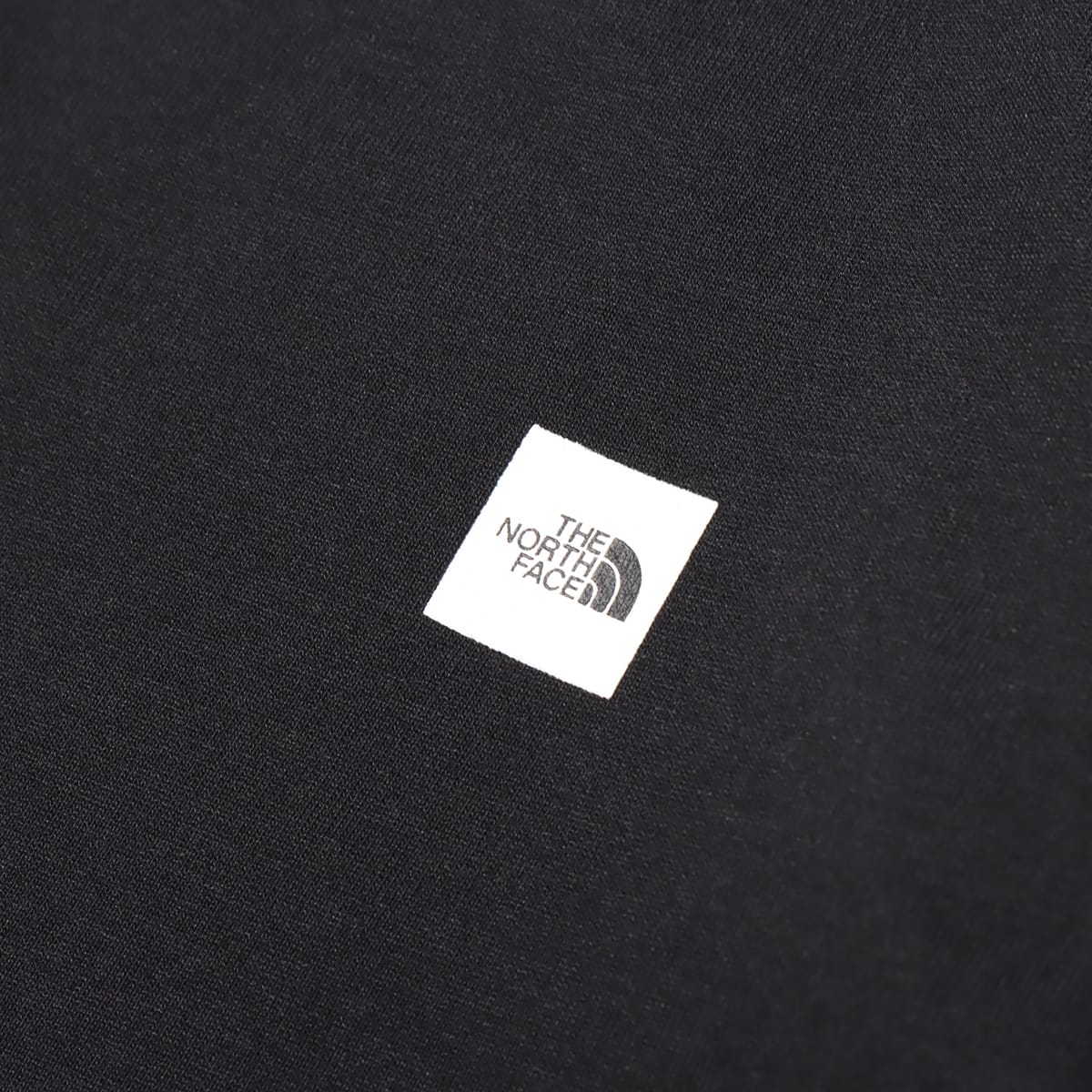 THE NORTH FACE S/S SMALL BOX LOGO TEE BLACK 21SS-Iの画像
