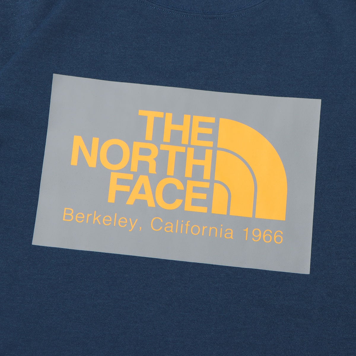 THE NORTH FACE S/S CALIFORNIA LOGO TEE ブルーウィングティール 22SS-I