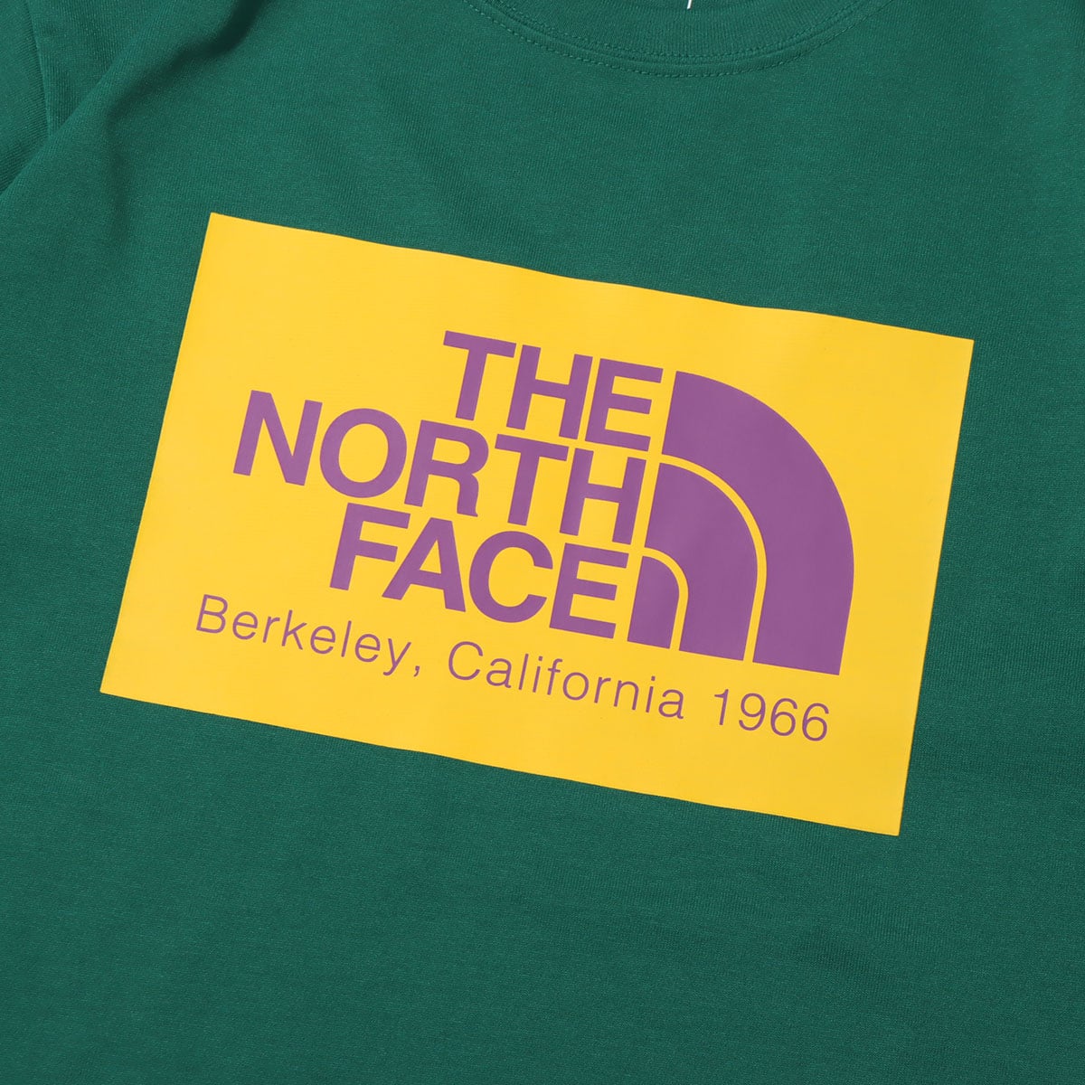 THE NORTH FACE S/S CALIFORNIA LOGO TEE エバーグリーン 22SS-Iの画像