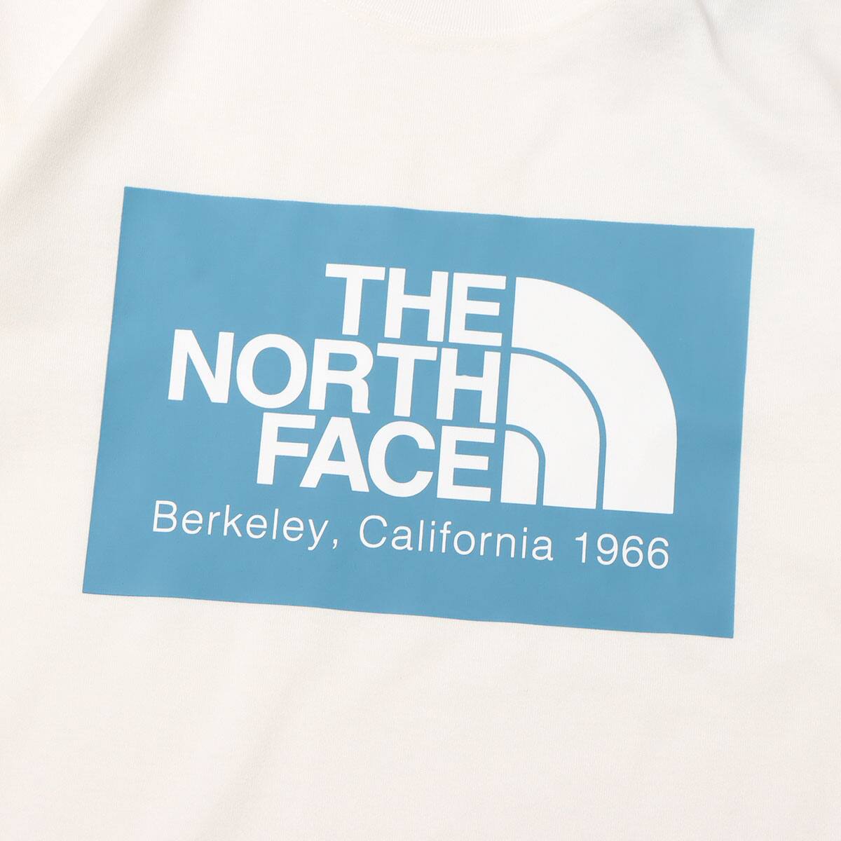 THE NORTH FACE S/S CALIFORNIA LOGO TEE ガーデニアホワイト 22SS-Iの画像