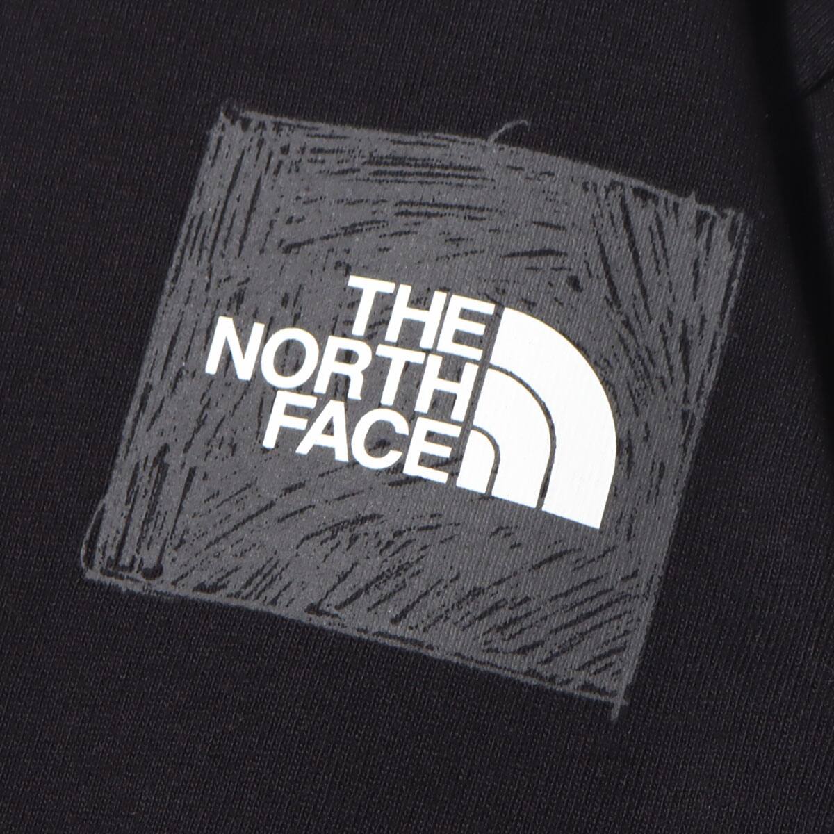 THE NORTH FACE L/S SLEEVE GRAPHIC TEE BLACK 22SS-Iの画像