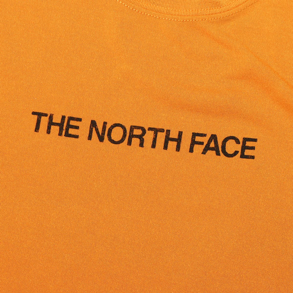 THE NORTH FACE S/S HISTORICAL ORIGIN TEE シトロンイエロー 22SS-Iの画像
