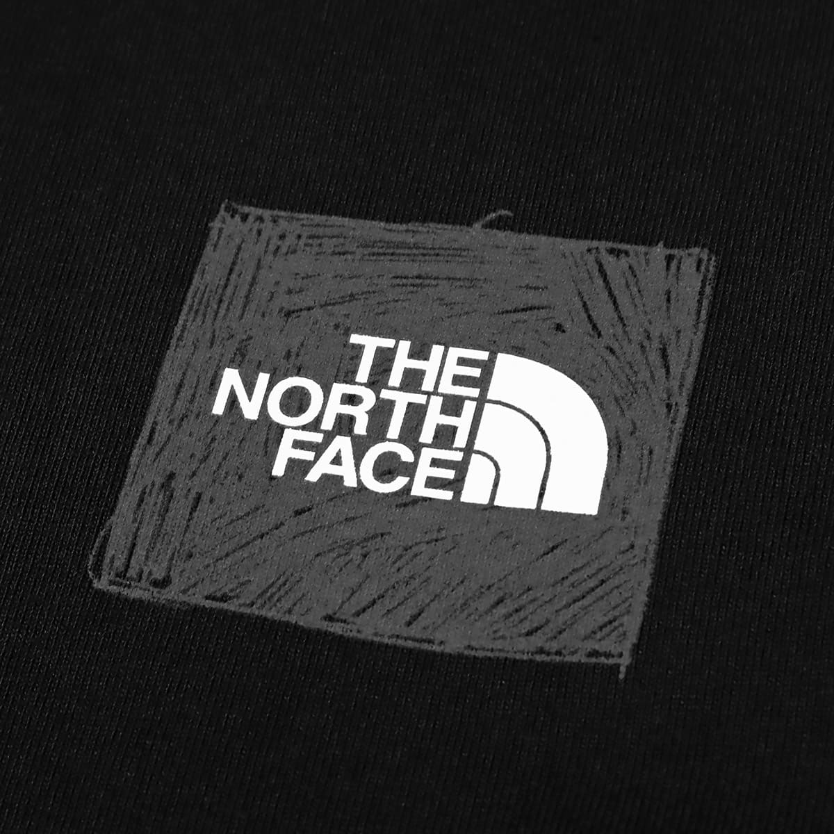 THE NORTH FACE L/S SLEEVE GRAPHIC TEE BLACK 23SS-Iの画像