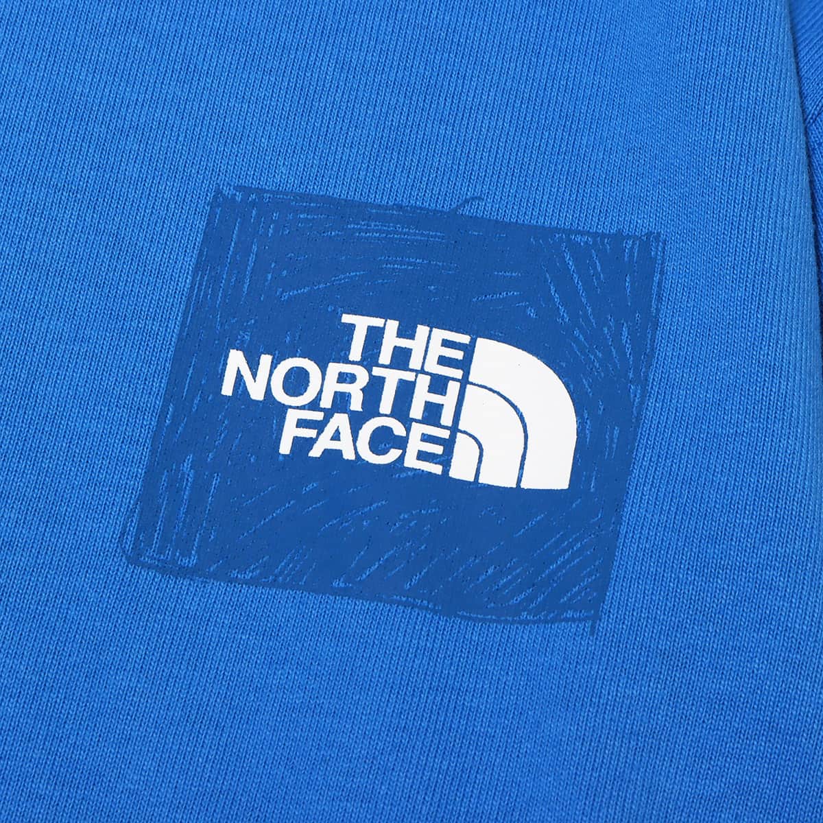 THE NORTH FACE L/S SLEEVE GRAPHIC TEE スーパーソニックブルー SS I