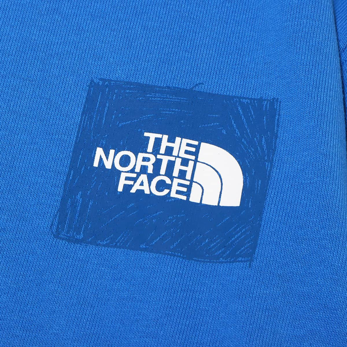 THE NORTH FACE L/S SLEEVE GRAPHIC TEE スーパーソニックブルー 23SS-I