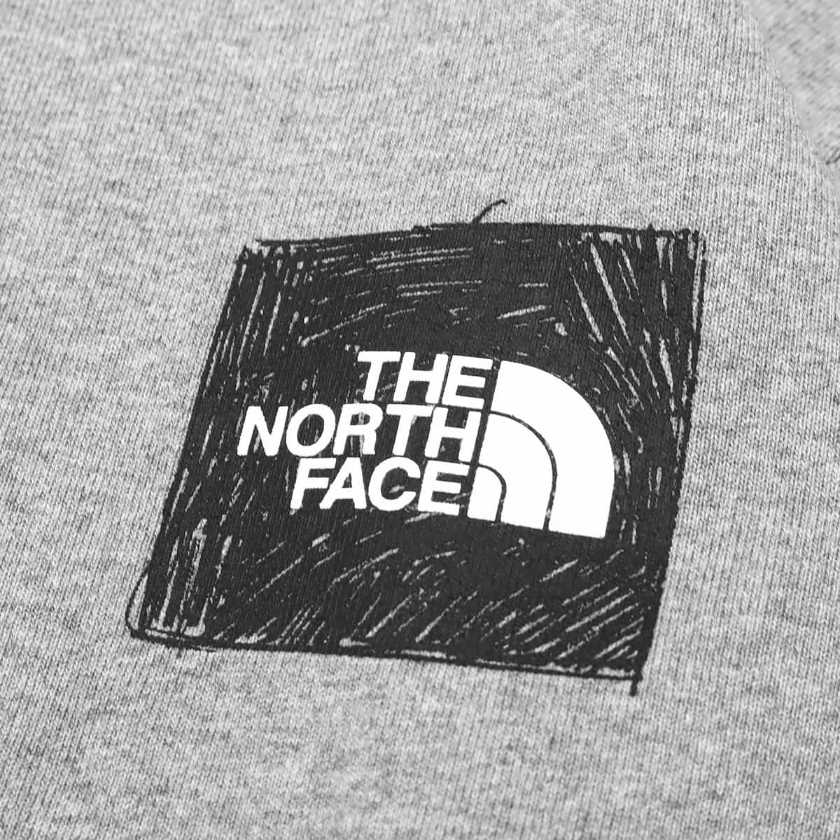 THE NORTH FACE L/S SLEEVE GRAPHIC TEE ミックスグレー 23SS-Iの画像
