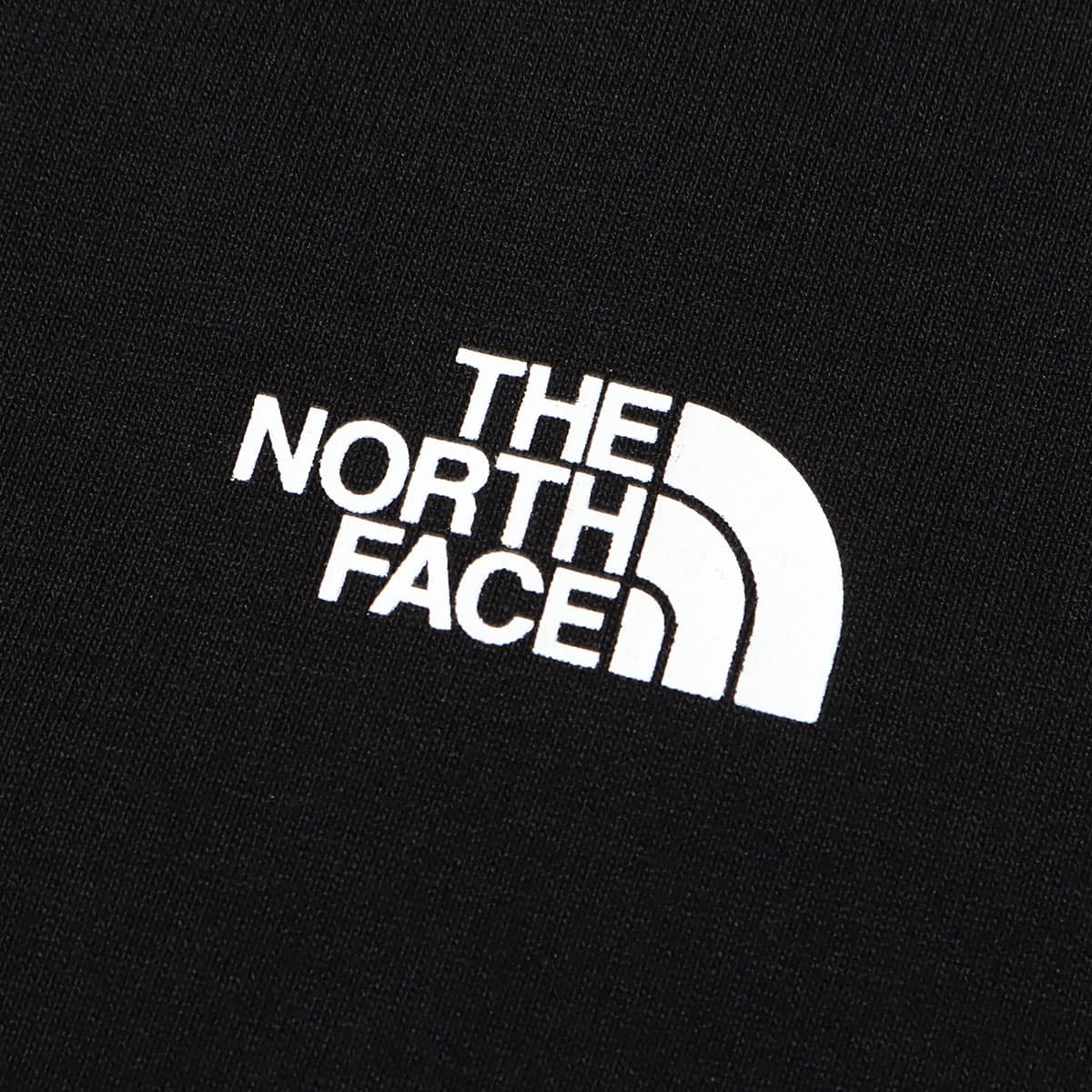 THE NORTH FACE S/S BACK SQUARE LOGO TEE BLACK 23SS-Iの画像