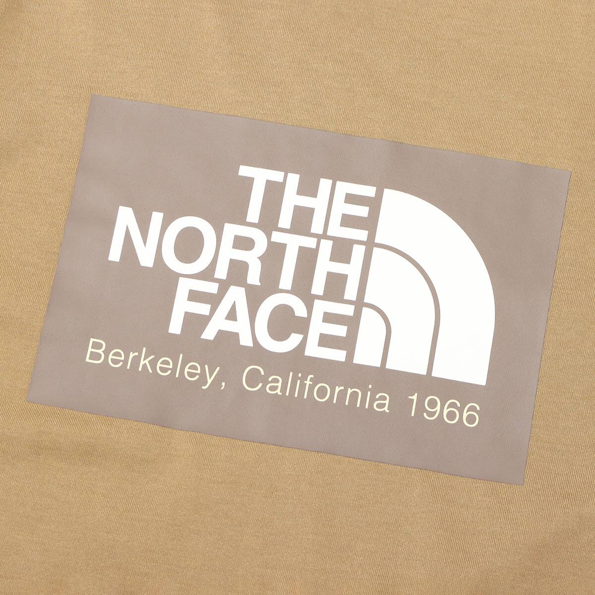THE NORTH FACE S/S CALIFORNIA LOGO TEE ケルプタン 23SS-Iの画像