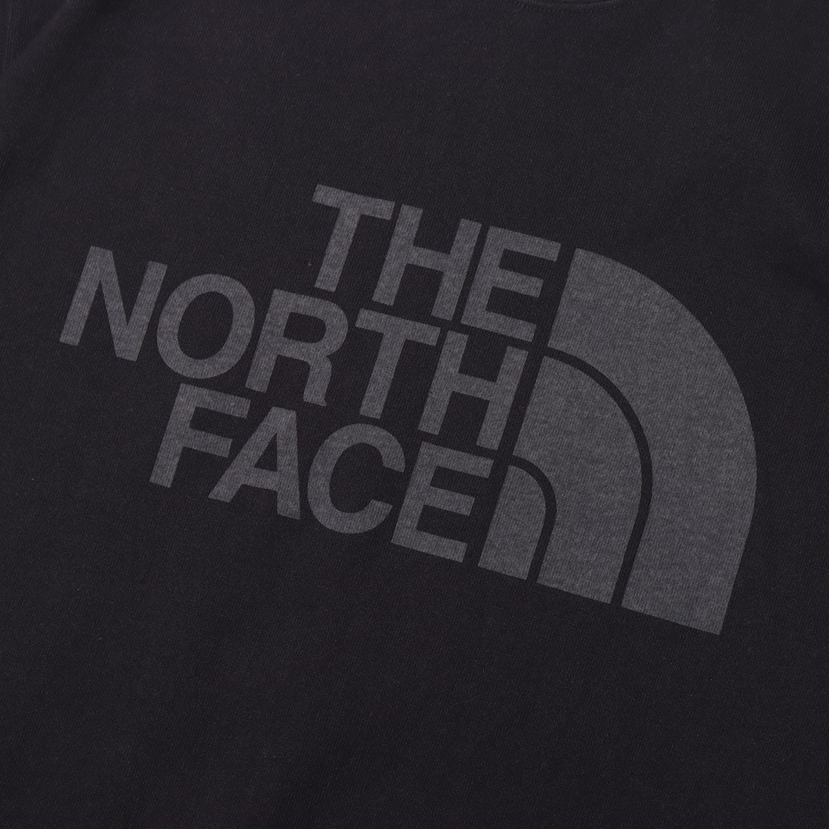 THE NORTH FACE S/S BIG LOGO TEE BLACK 23SS-Iの画像