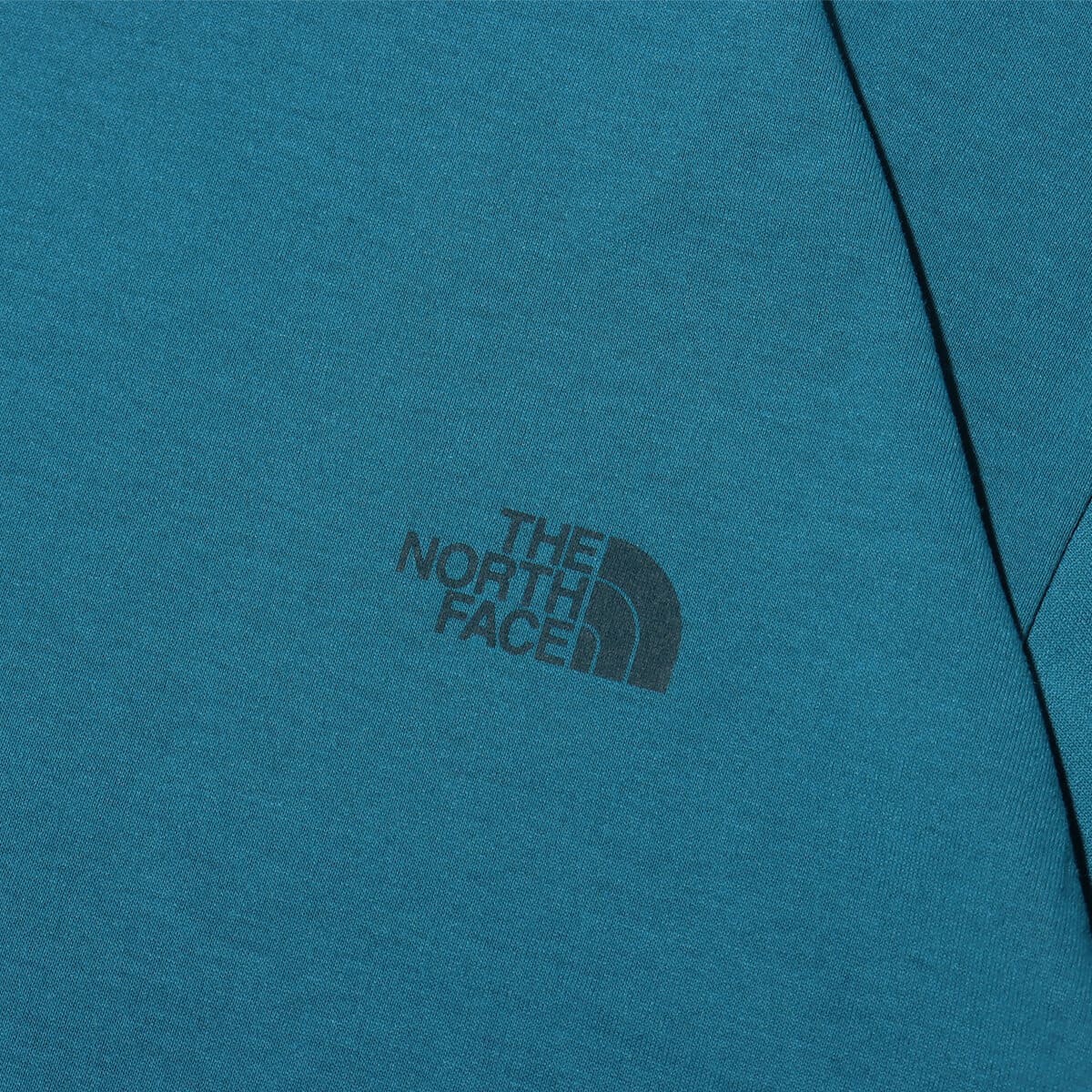 THE NORTH FACE S/S Square Mountain Logo Tee ブルーモスの画像