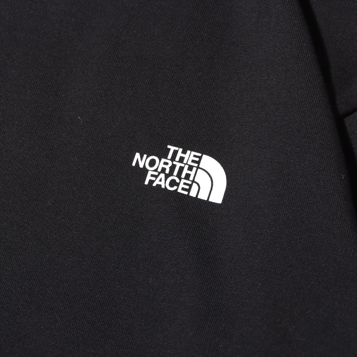 THE NORTH FACE L/S Back Square Logo Tee ブラック 24SS-Iの画像