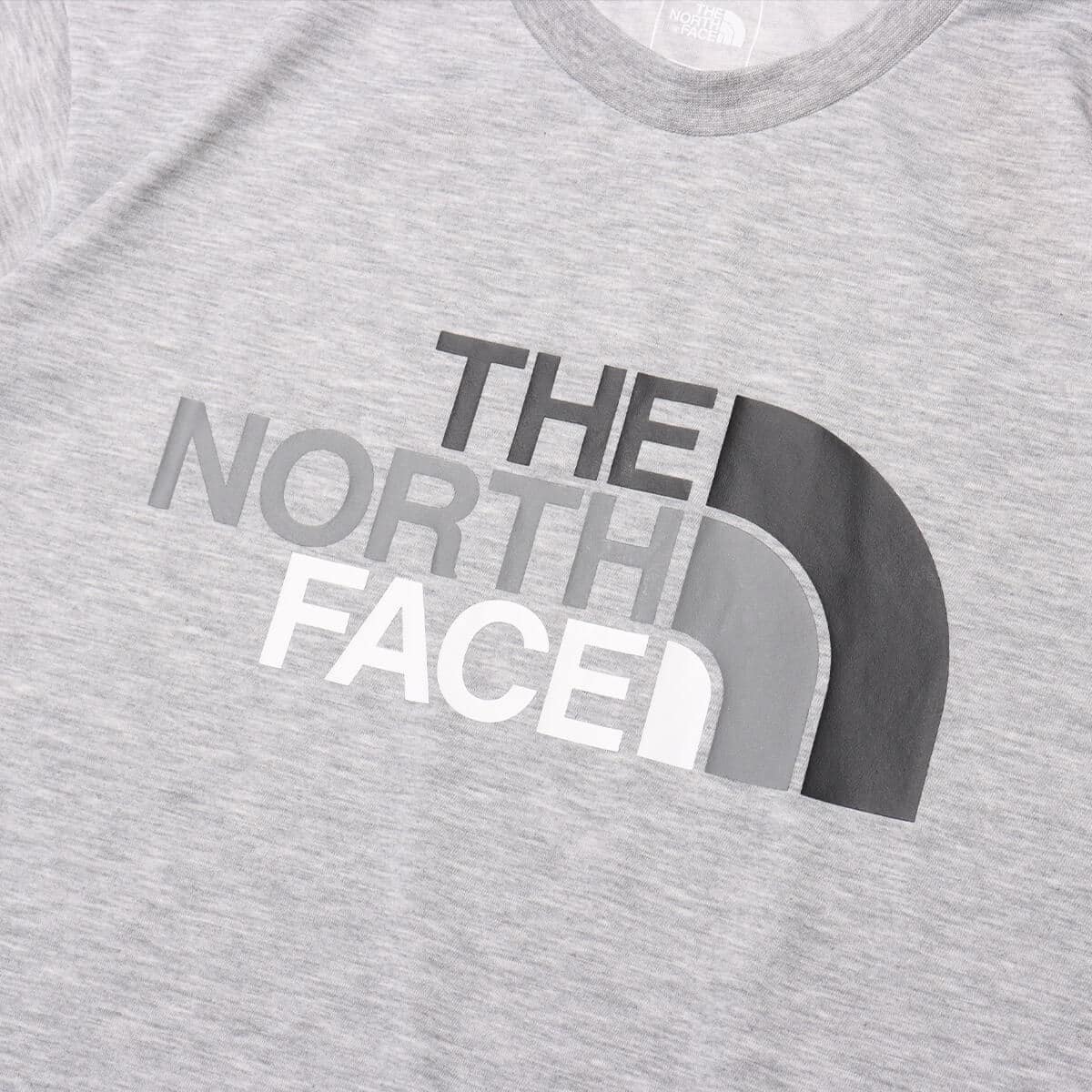 THE NORTH FACE S/S Colorful Logo Tee ミックスグレーの画像