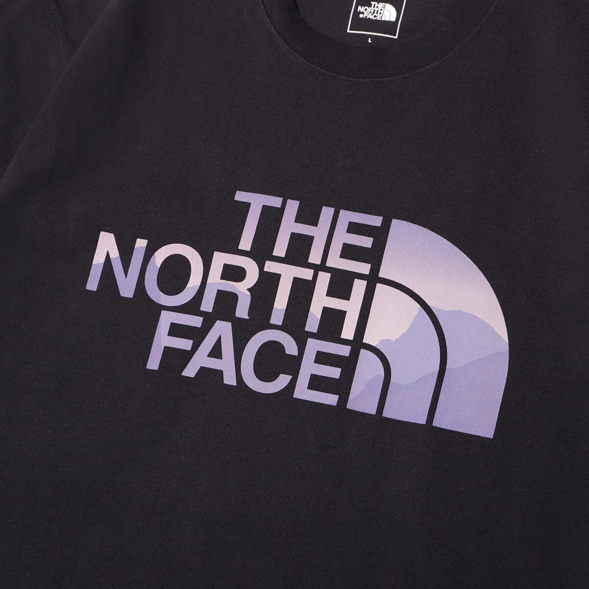 THE NORTH FACE S/S Day Flow Tee ブラックの画像