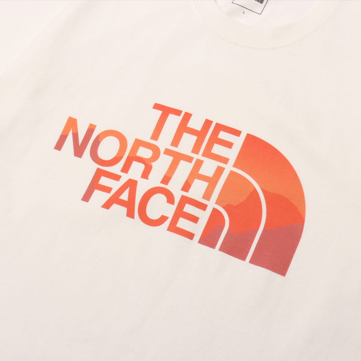 THE NORTH FACE S/S Day Flow Tee オフホワイトの画像