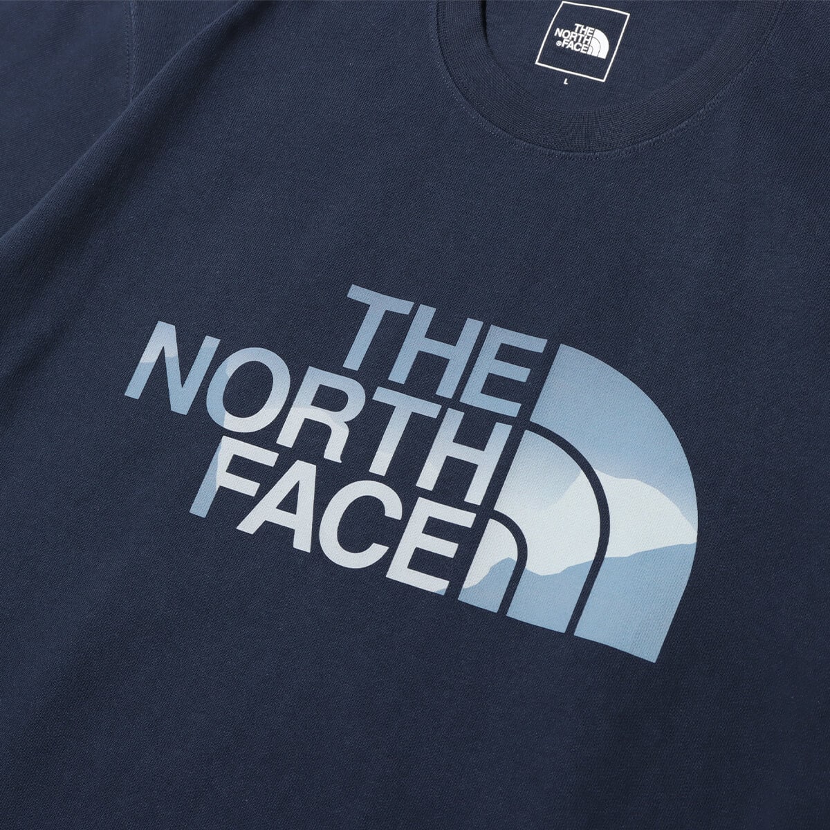 THE NORTH FACE S/S Day Flow Tee アーバンネイビーの画像