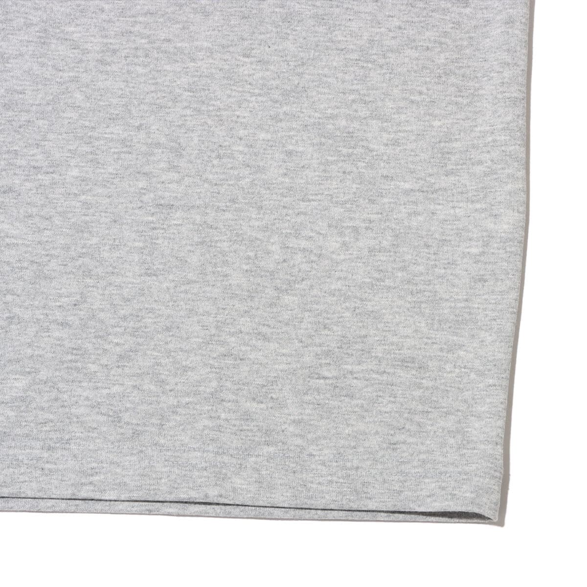 THE NORTH FACE S/S Natural Phenomenon Tee ミックスグレーの画像