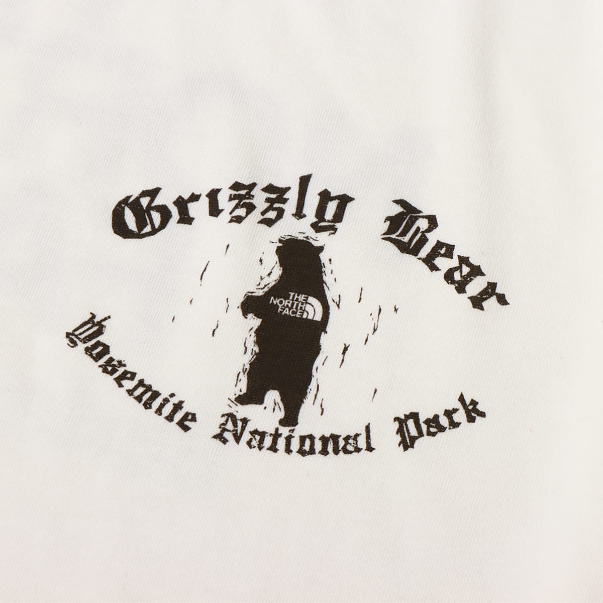 THE NORTH FACE PURPLE LABEL L/S Graphic Tee Off White 23SS-Iの画像