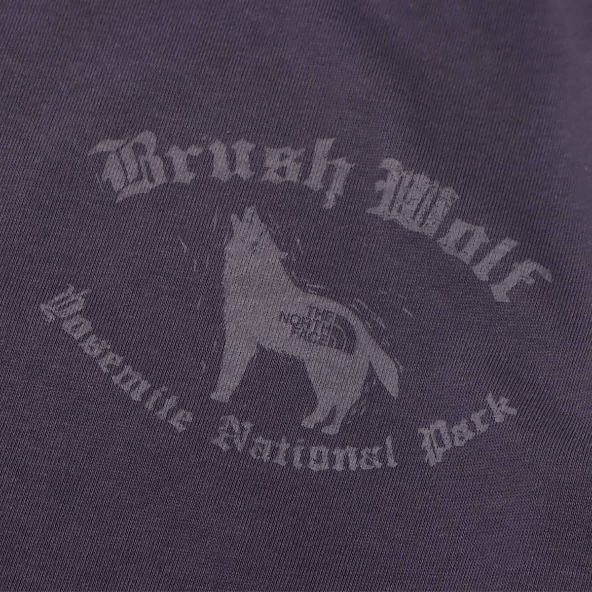 THE NORTH FACE PURPLE LABEL L/S Graphic Tee Vintage Navy 23SS-Iの画像
