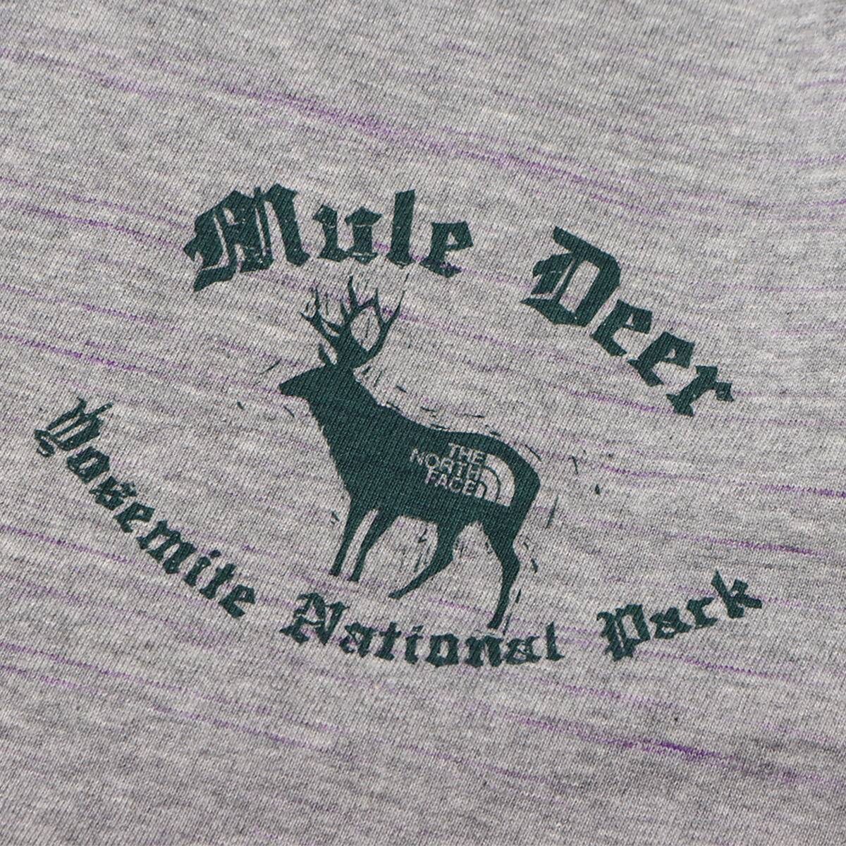 THE NORTH FACE PURPLE LABEL L/S Graphic Tee Mix Gray 23SS-Iの画像