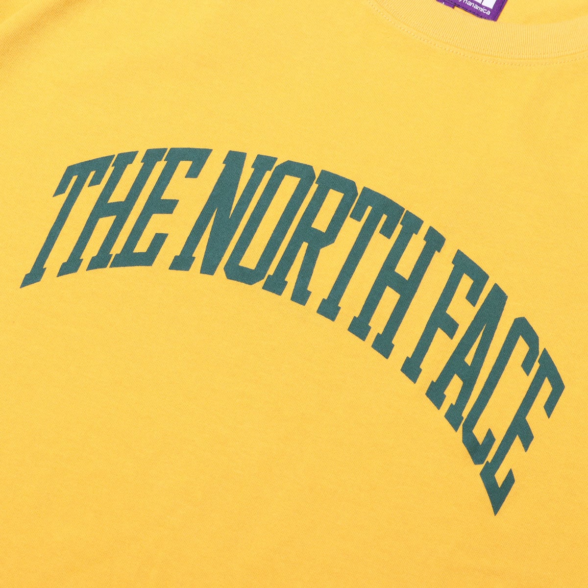 THE NORTH FACE PURPLE LABEL H/S Graphic Tee Mustard 23SS-Iの画像