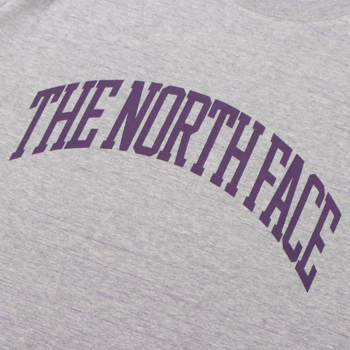 THE NORTH FACE PURPLE LABEL H/S Graphic Tee Mix Gray 23SS-I|atmos（アトモス）  公式オンラインストア