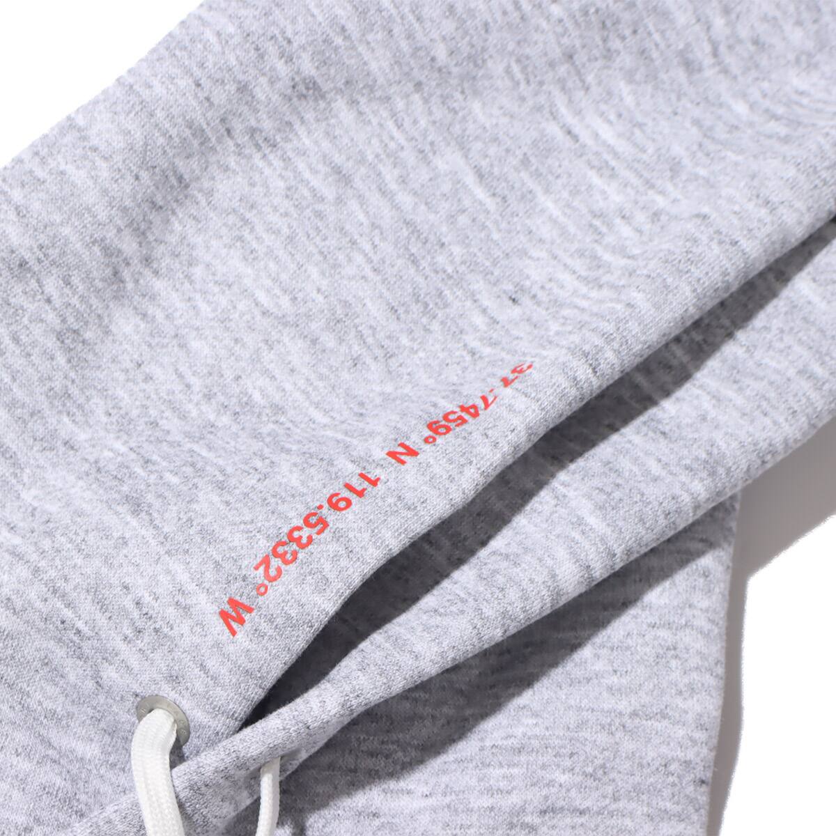 THE NORTH FACE FRONT HALF DOME HOODIE ミックスグレー 21FW-Iの画像