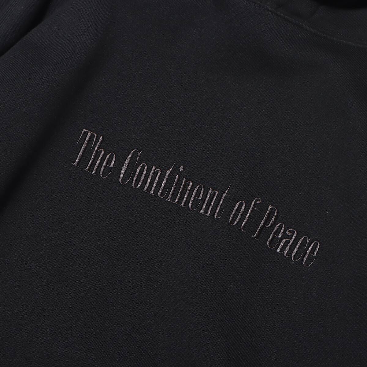 THE NORTH FACE TRANS ANTARCTICA HOODIE BLACK 23FW-Iの画像