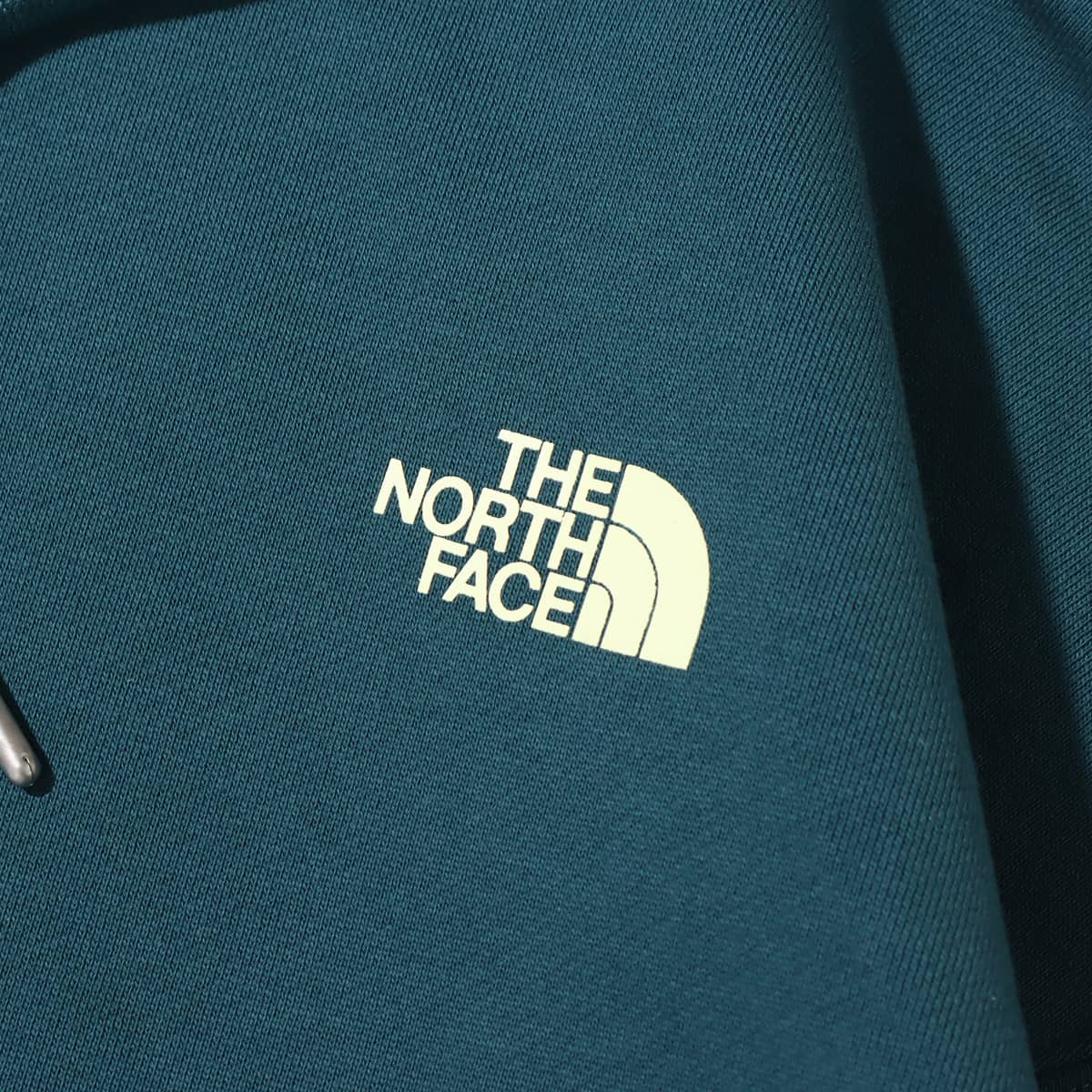 THE NORTH FACE NEVER STOP ING HOODIE Aグリーン（ザ・ノース