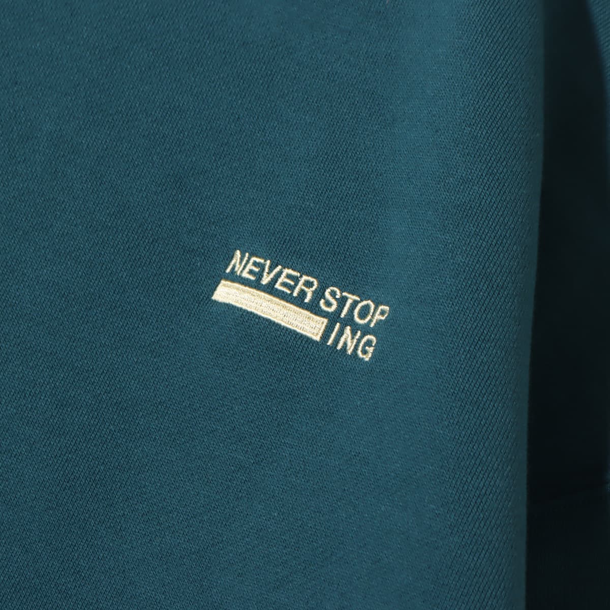 THE NORTH FACE NEVER STOP ING CREW Aグリーン 23FW-I