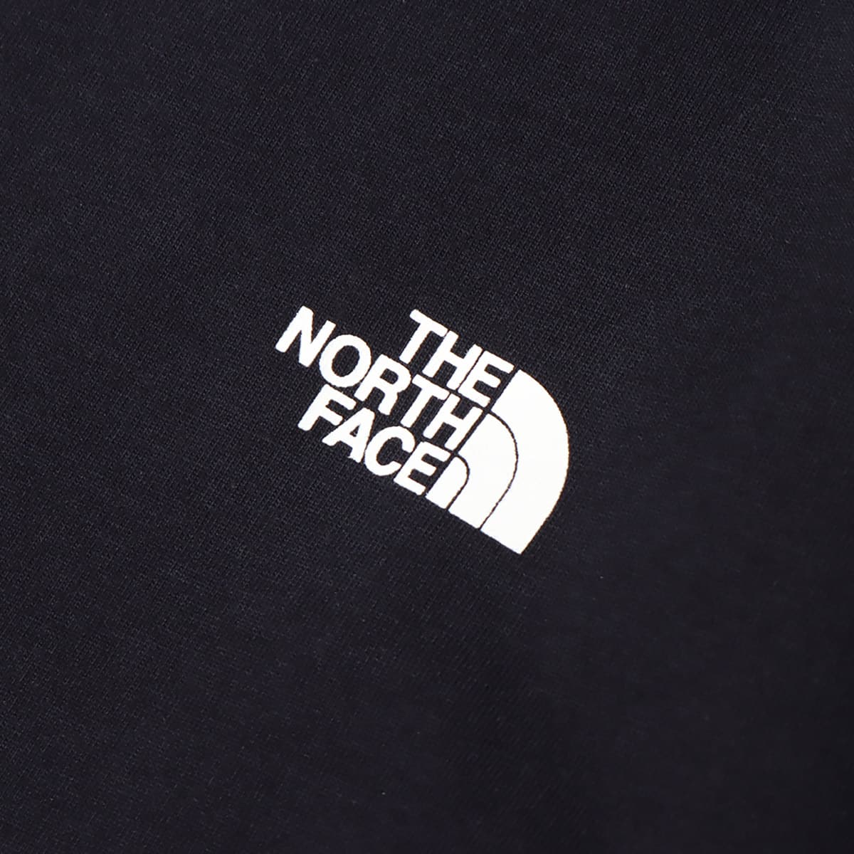 THE NORTH FACE L/S BACK SQUARE LOGO TEE アビエイターネイビー 21FW-Iの画像