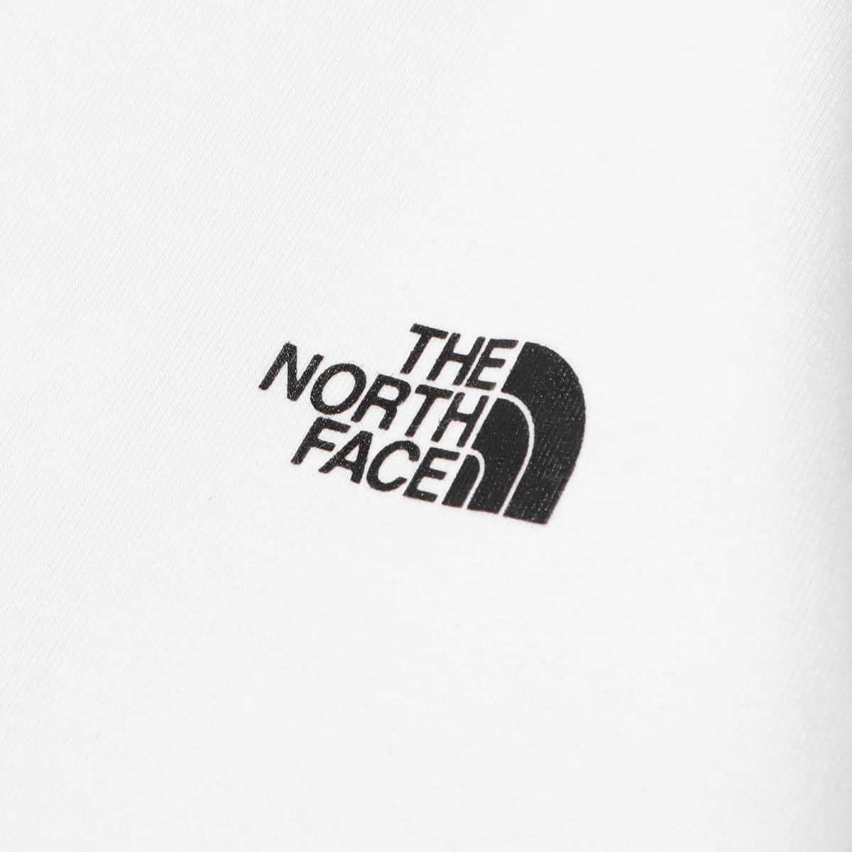 THE NORTH FACE L/S BACK SQUARE LOGO TEE ホワイト 21FW-Iの画像