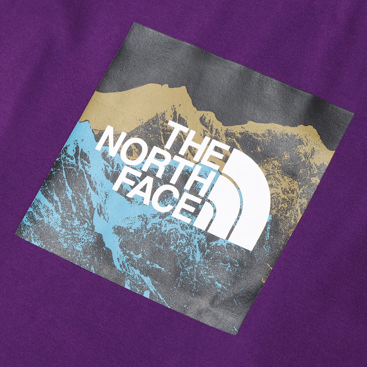 THE NORTH FACE L/S DIGITAL LOGO TEE グラビィティパープル 21FW-Iの画像