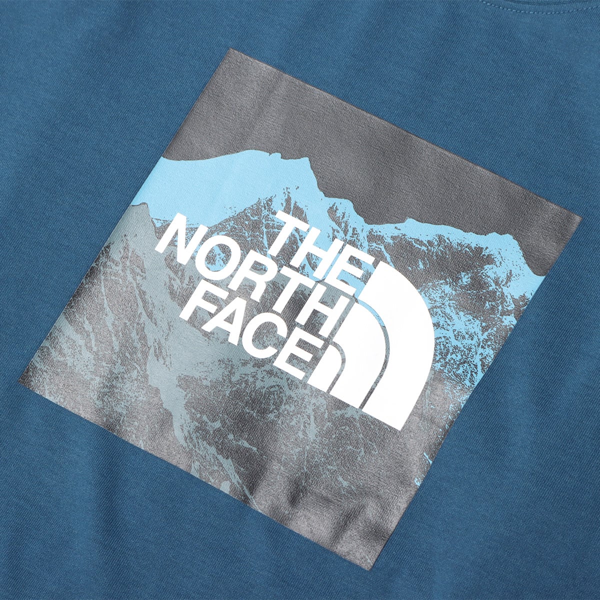 THE NORTH FACE L/S DIGITAL LOGO TEE モントレーブルー 21FW-Iの画像