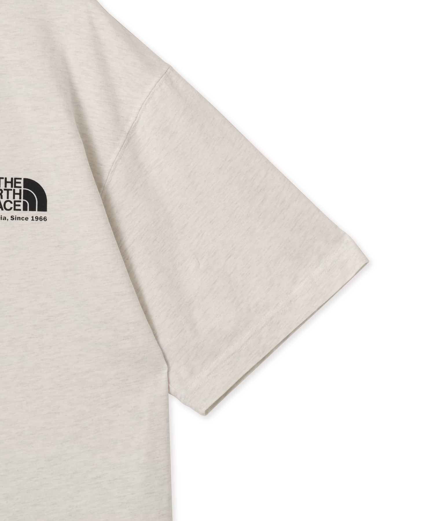 THE NORTH FACE S/S WASHED HISTORICAL LOGO TEE WMIXグレーの画像