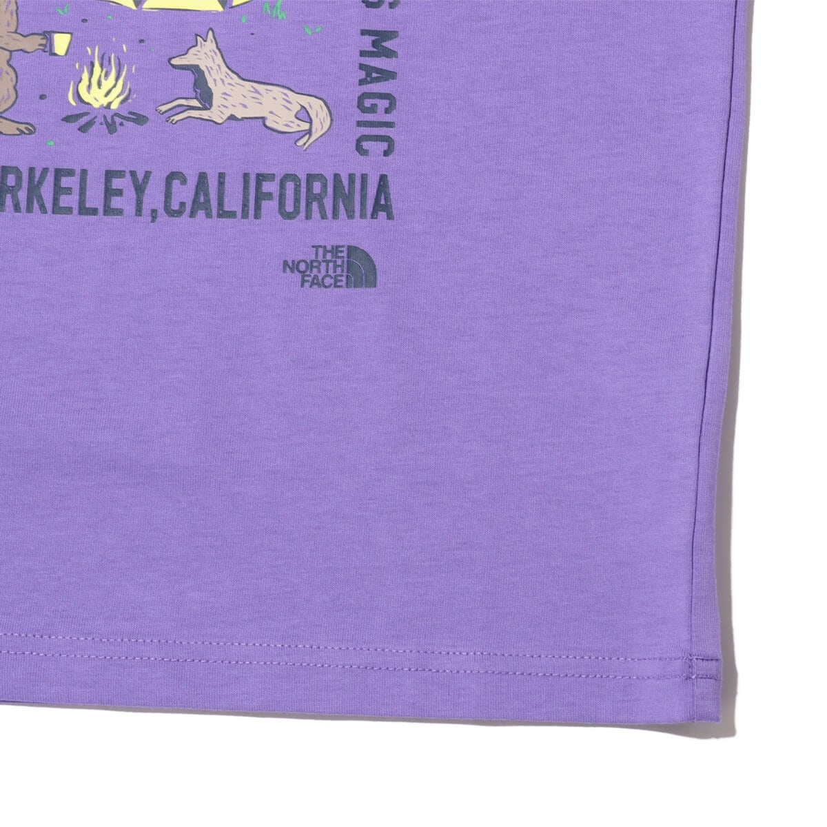 THE NORTH FACE S/S Luminous Camp Graphic Tee オプティックバイオレットの画像