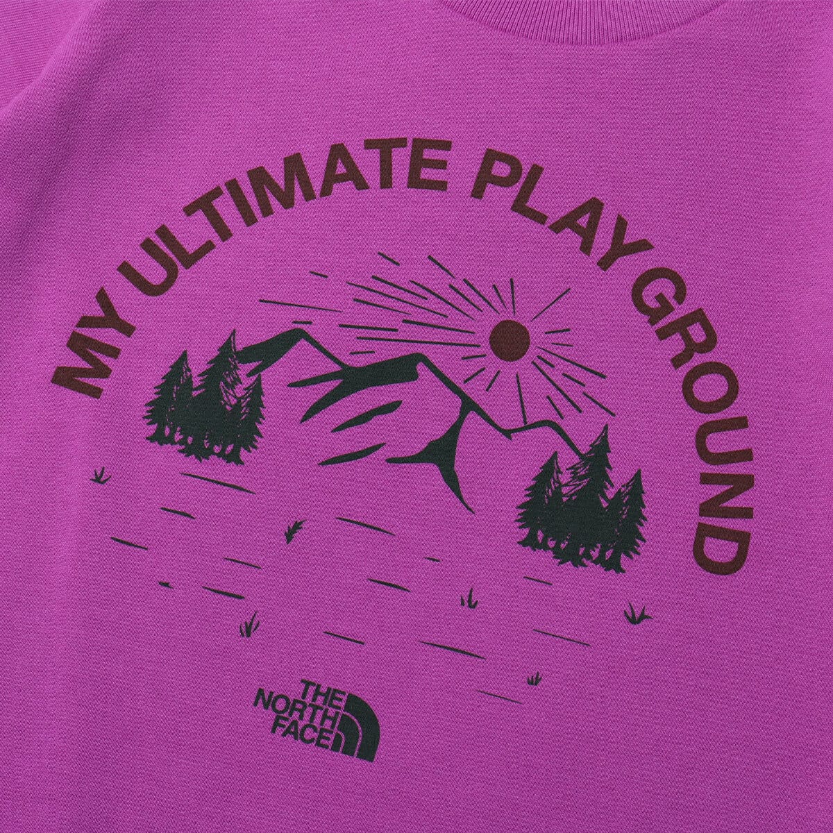 THE NORTH FACE S/S Your Own Playground Tee オーバジーン の画像