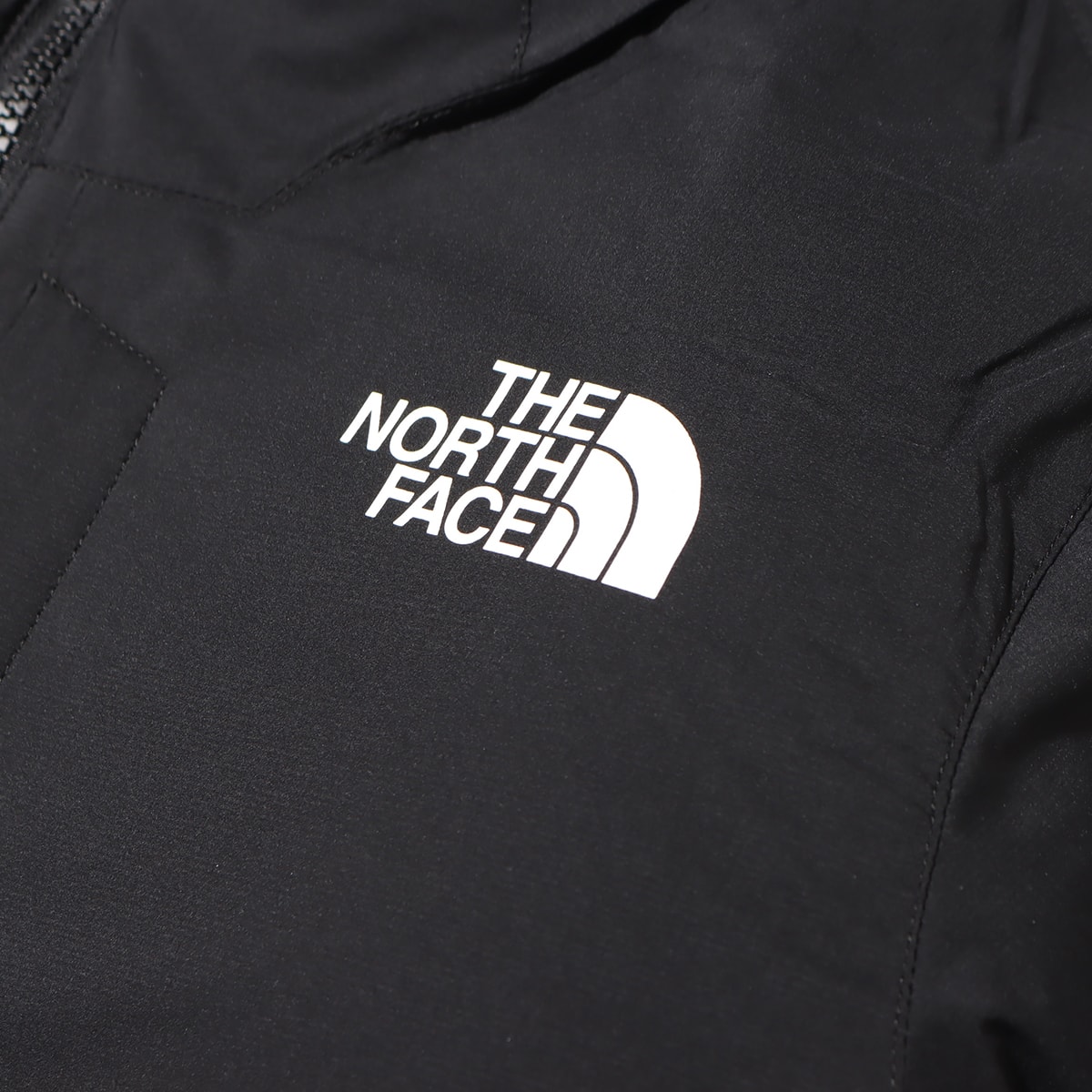 THE NORTH FACE PROJECT INSULATION JACKET BLACK 23FW-I