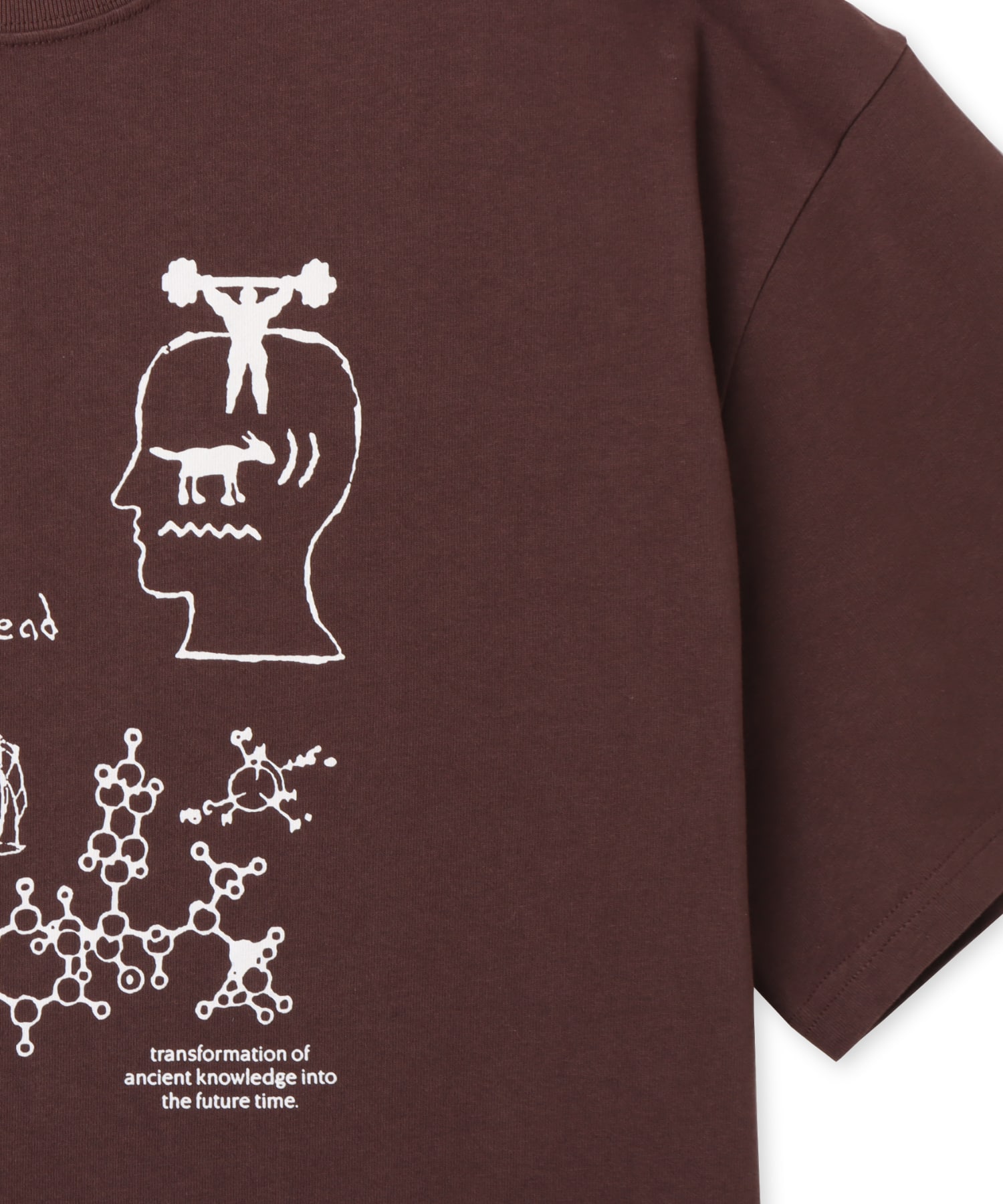 BRAIN DEAD ANCIENT KNOWLEDGE T-SHIRT BERRYの画像
