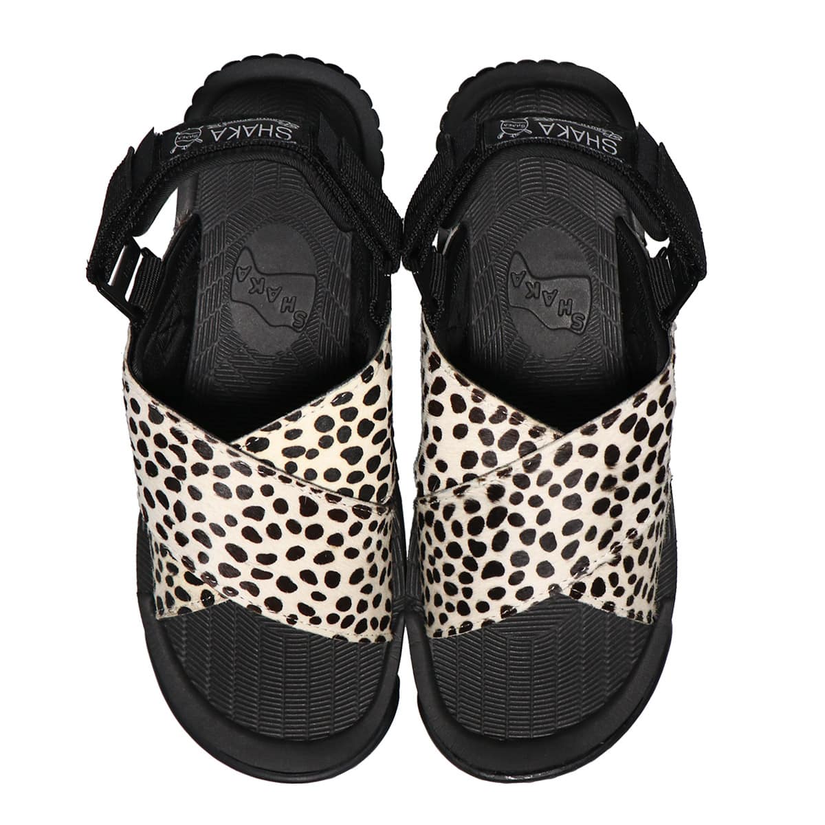 SHAKA FIESTA COWHAIR Dalmatian 21SS-Iの画像