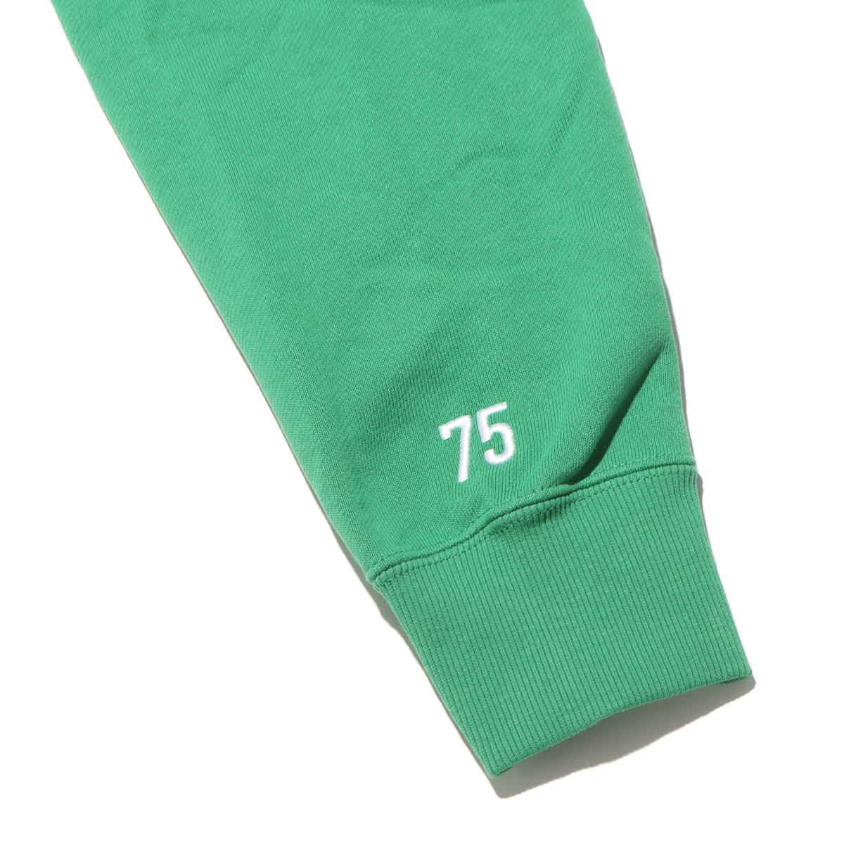 PUMA CLASSICS NO.1 LOGO CELEBRATION HOODIE TR ARCHIVE GREEN 23FA-I