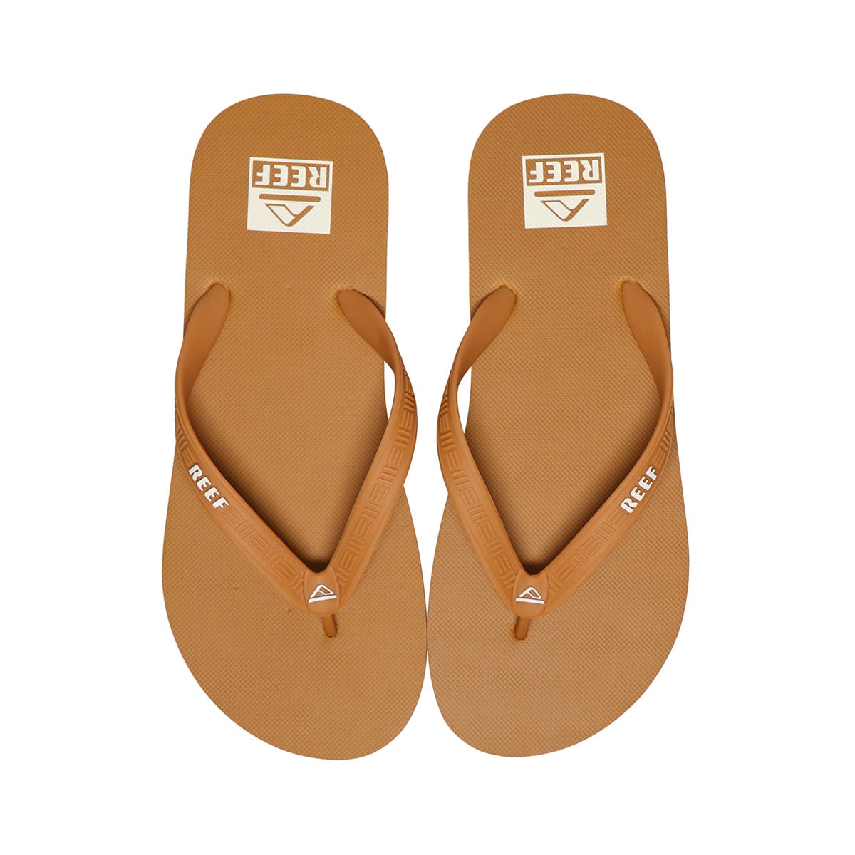 REEF REEF SEA SIDE MUSTARDの画像